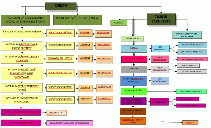 FSD - organigram