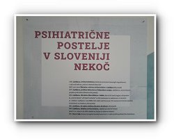 Razstava v Muzeju norosti
